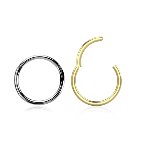 Segmentring Clicker Chirurgenstahl Nasenring Lippenpiercing Septum Piercing Ohr Z569